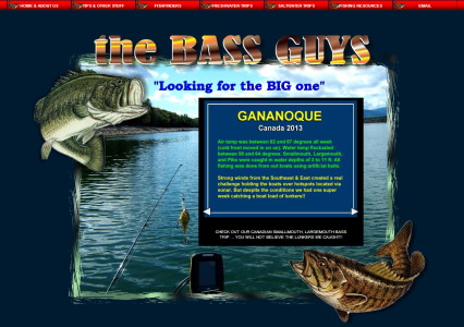 thebassguys.com
